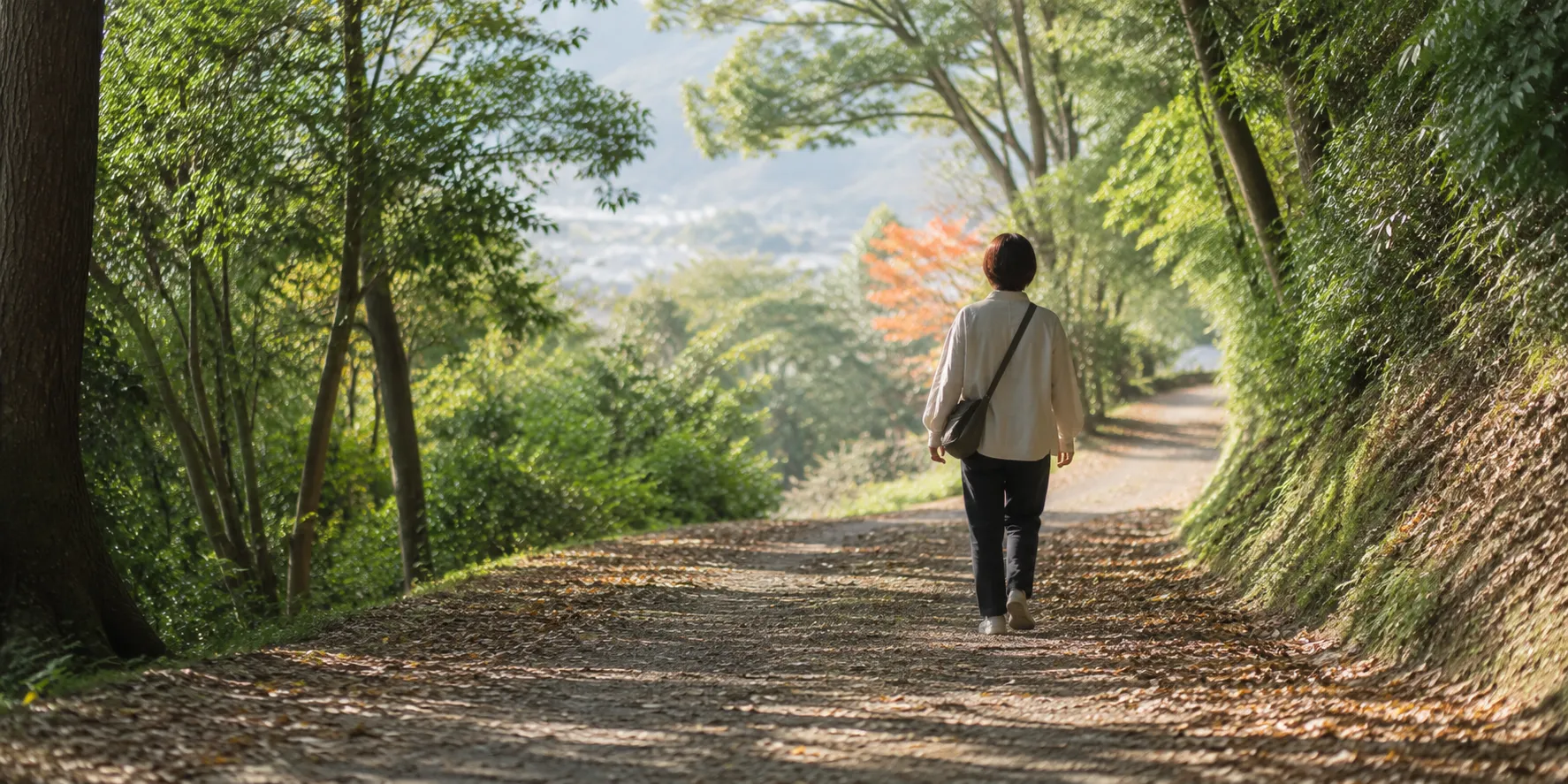 季節の移ろう道を一人で歩く、時の流れを感じさせる風景